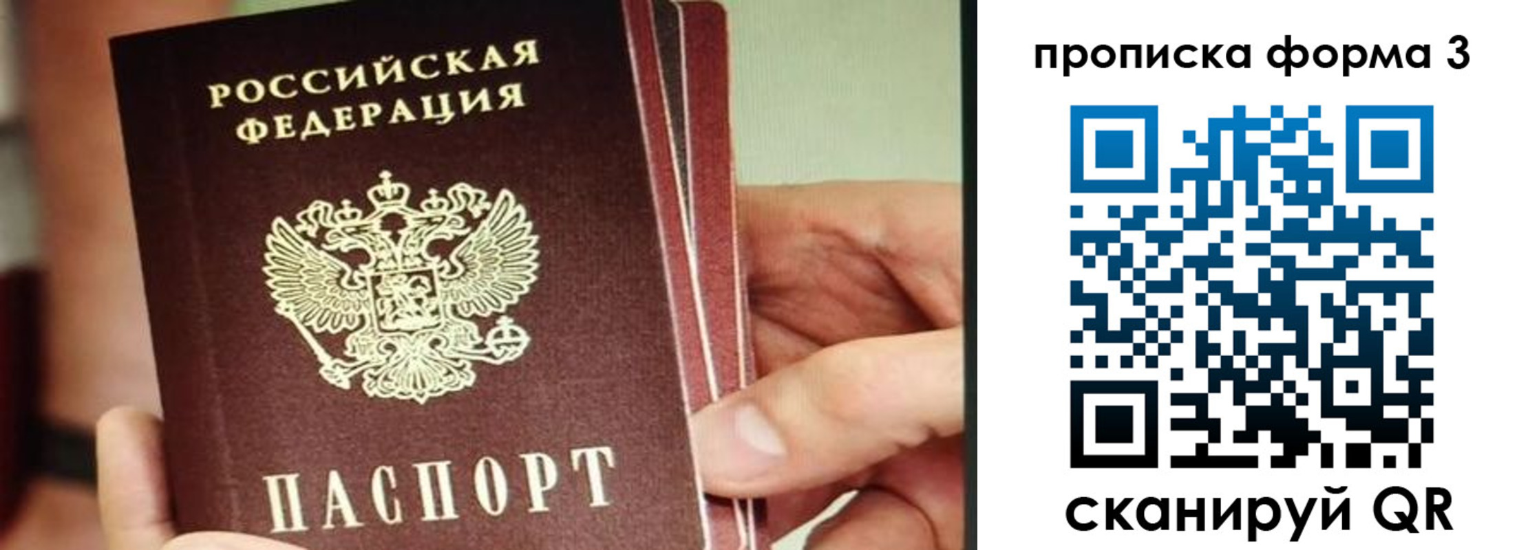 прописка законно в Острове